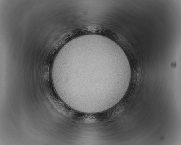 X0000115350656200911241154