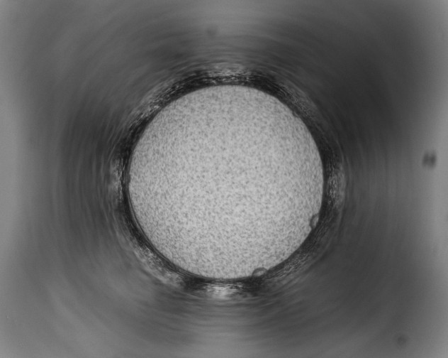 X0000115350662200911241154