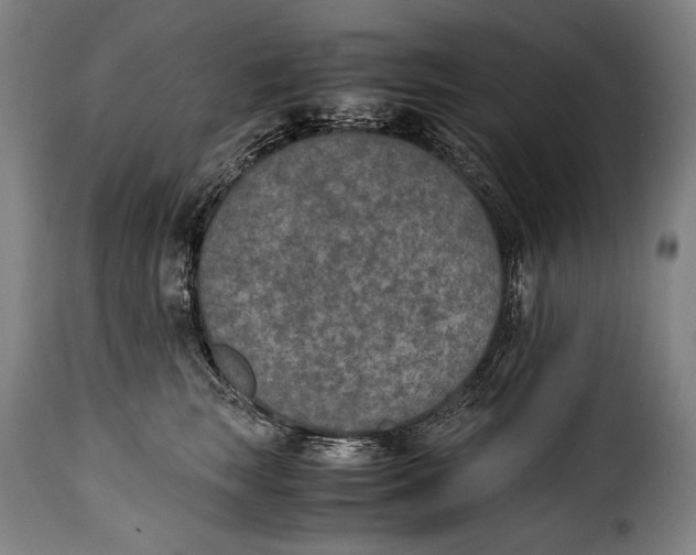 X0000115350663200911241154
