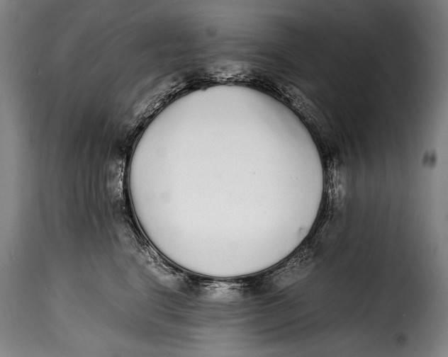 X0000115350664200911241154