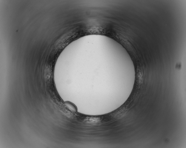 X0000115350665200911241154