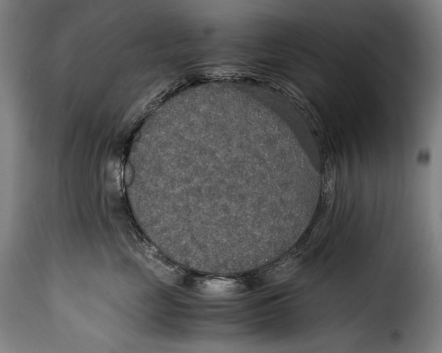 X0000115350669200911241154
