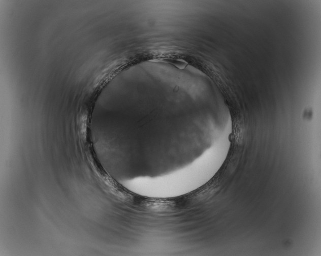 X0000115350670200911241154