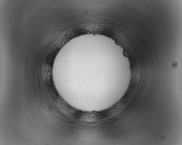 X0000115350671200911241154