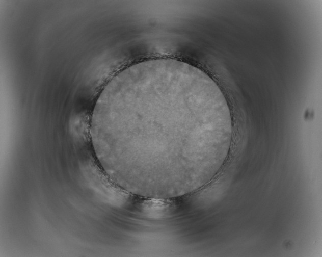 X0000115350672200911241154