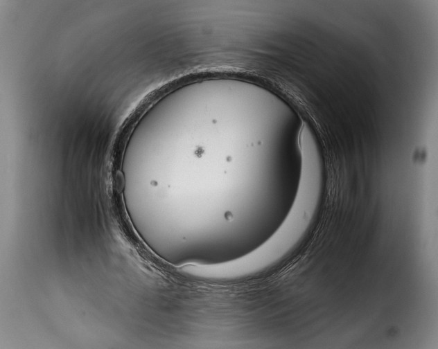 X0000115350676200911241153