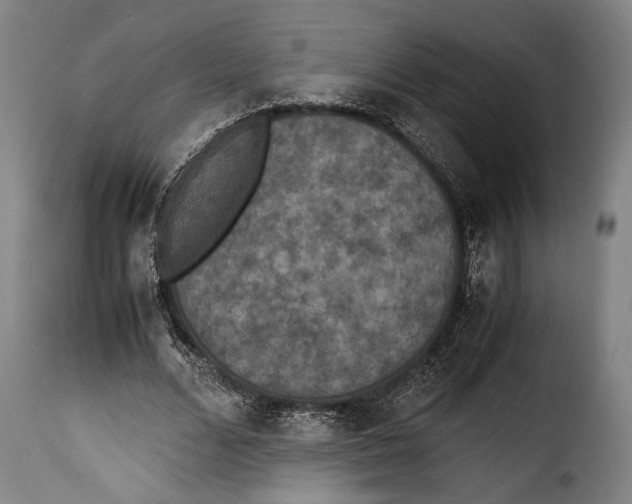 X0000115350680200911241153