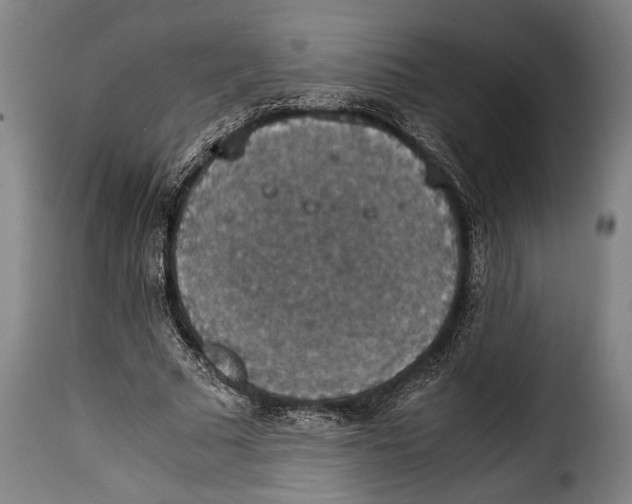 X0000115350681200911241153