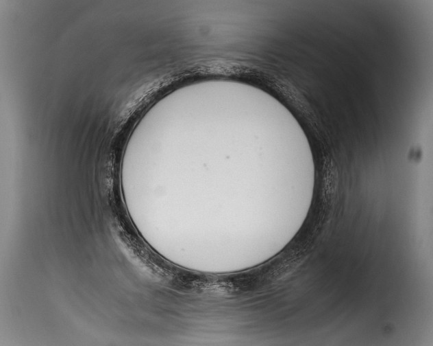 X0000115350683200911241153