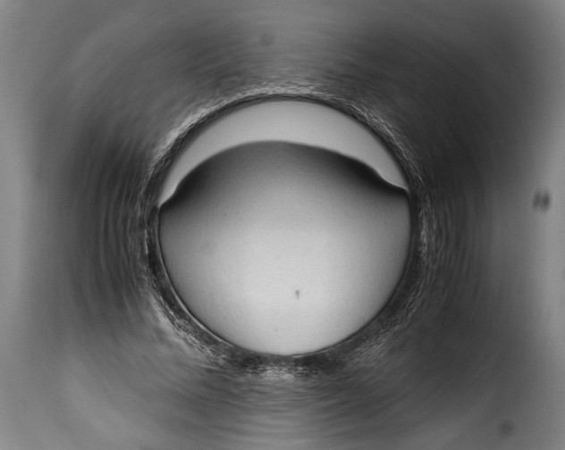 X0000115350684200911241153