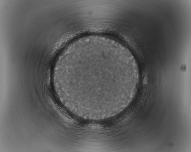 X0000115350685200911241153