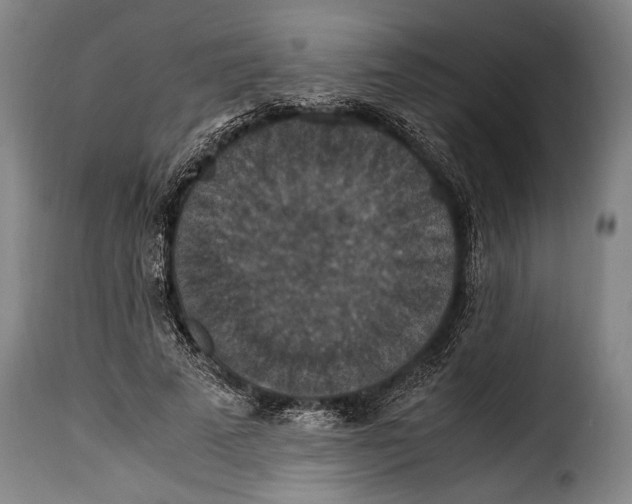 X0000115350689200911241153