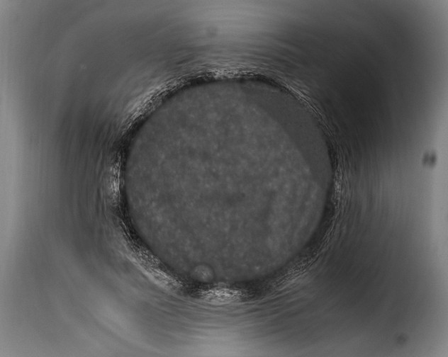 X0000115350691200911241153