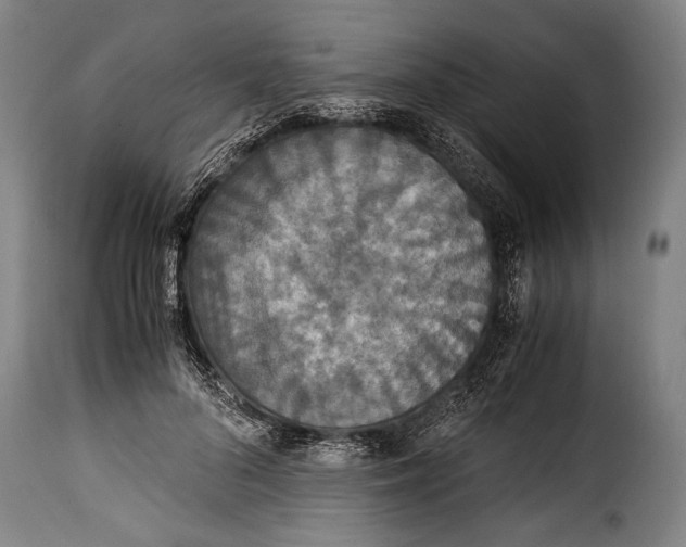X0000115350696200911241153