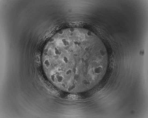 X0000115350699200911241153