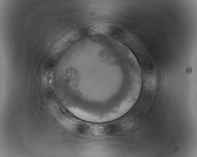 X0000115350701200911241153