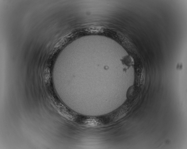 X0000115350704200911241153