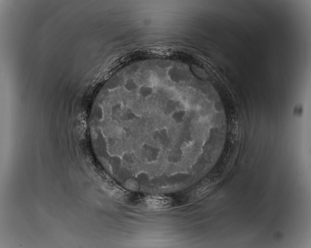 X0000115350707200911241153