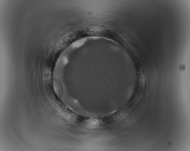 X0000115350711200911241153