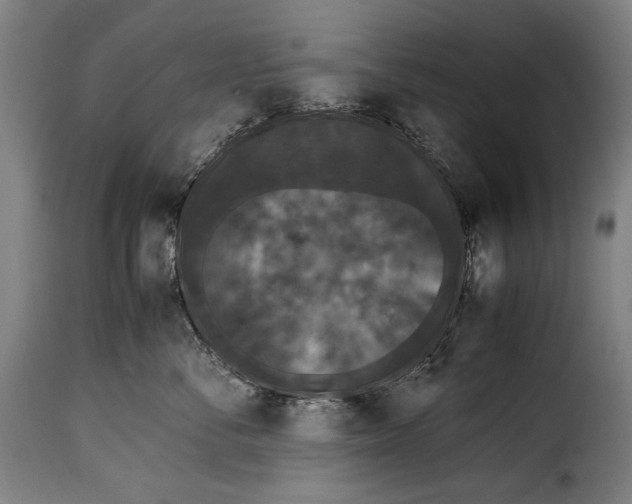 X0000115350716200911241153
