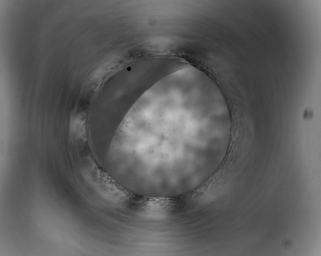 X0000115350720200911241153