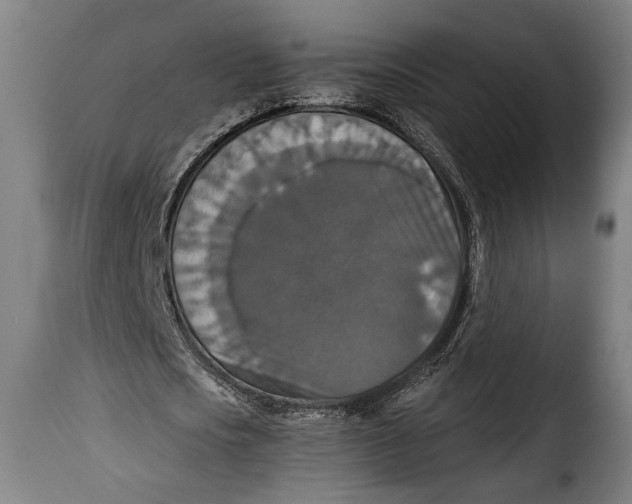 X0000115350721200911241152