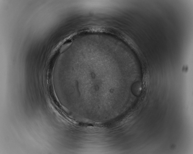 X0000115350722200911241152