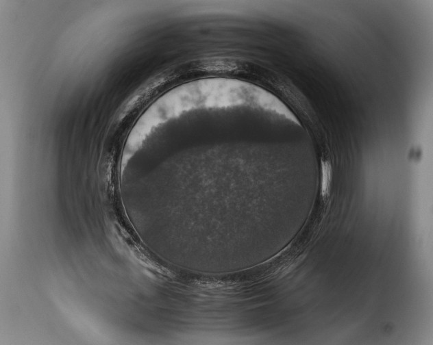 X0000115350723200911241152