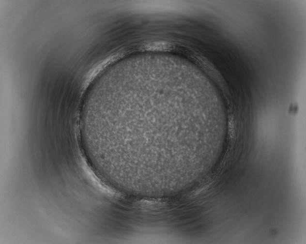 X0000115350725200911241152