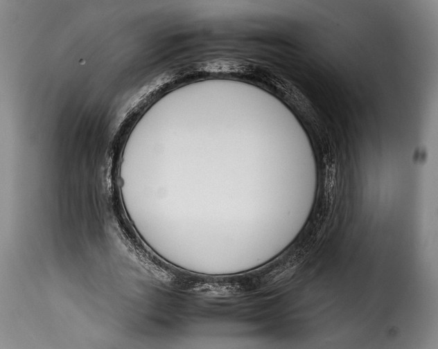 X0000115350727200911241152
