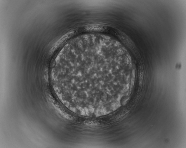 X0000115350729200911241152