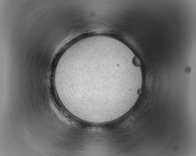 X0000115350730200911241152