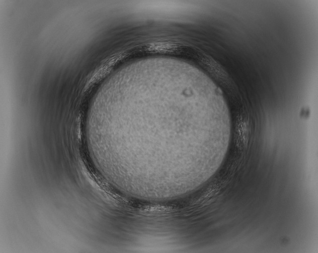 X0000115350734200911241152