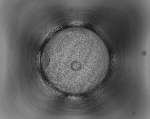X0000115350739200911241152