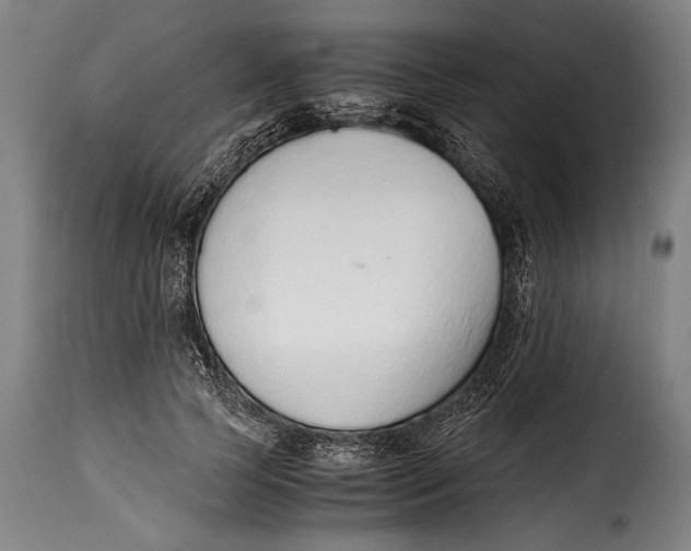 X0000115350745200911241152