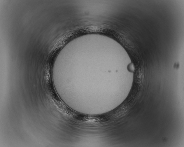 X0000115350746200911241152
