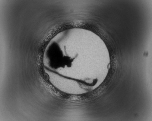 X0000115350750200911241153