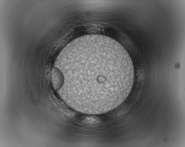 X0000115350753200911241153