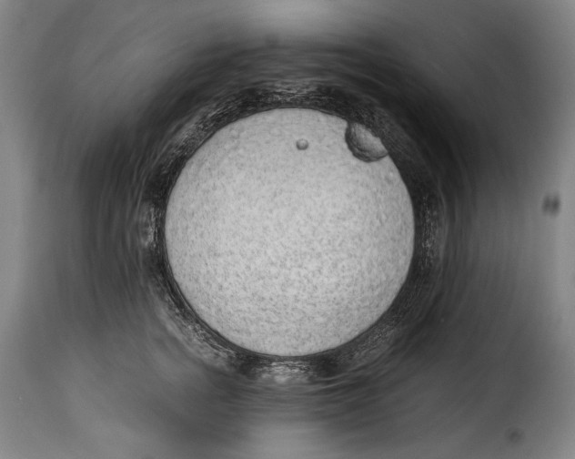 X0000115350758200911241153