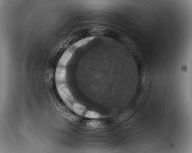 X0000115350759200911241153