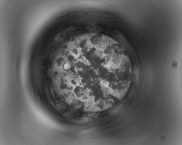 X0000115350765200911241153