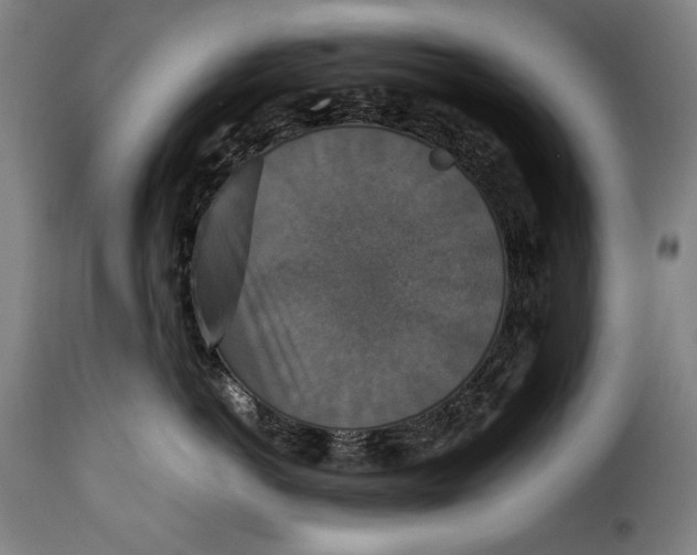 X0000115350766200911241153
