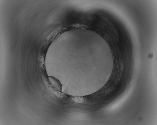 X0000115350767200911241153