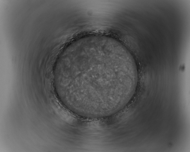 X0000115350769200911241152