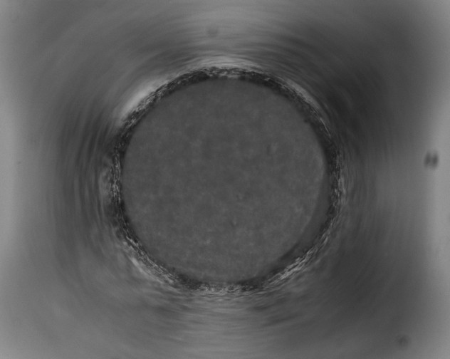 X0000115350775200911241152