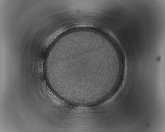 X0000115350777200911241152