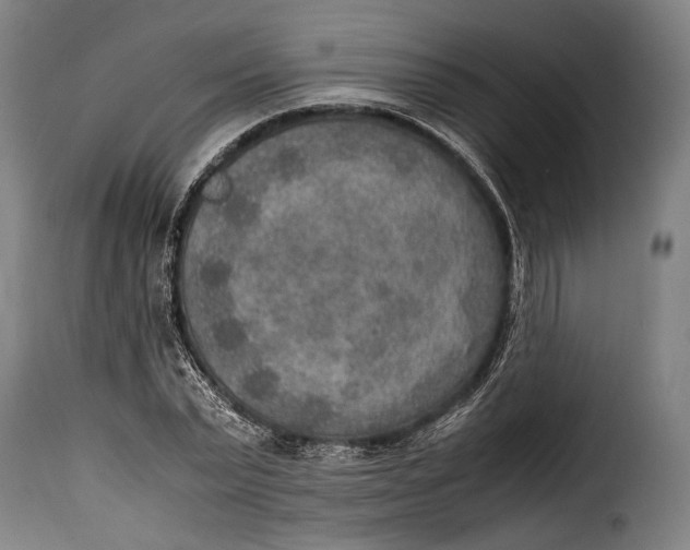 X0000115350783200911241152