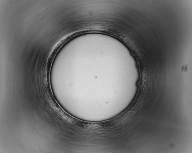 X0000115350784200911241152