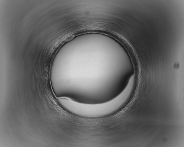 X0000115350785200911241152