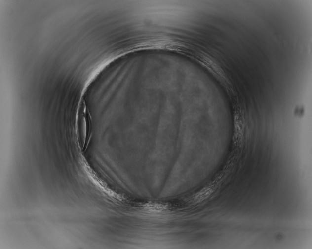X0000115350788200911241152